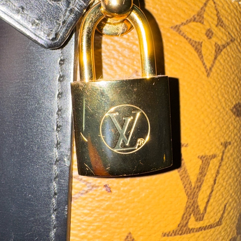 Authentic Louis Vuitton Cannes Monogram Reverse Canvas Bag - Picture 7 of 16